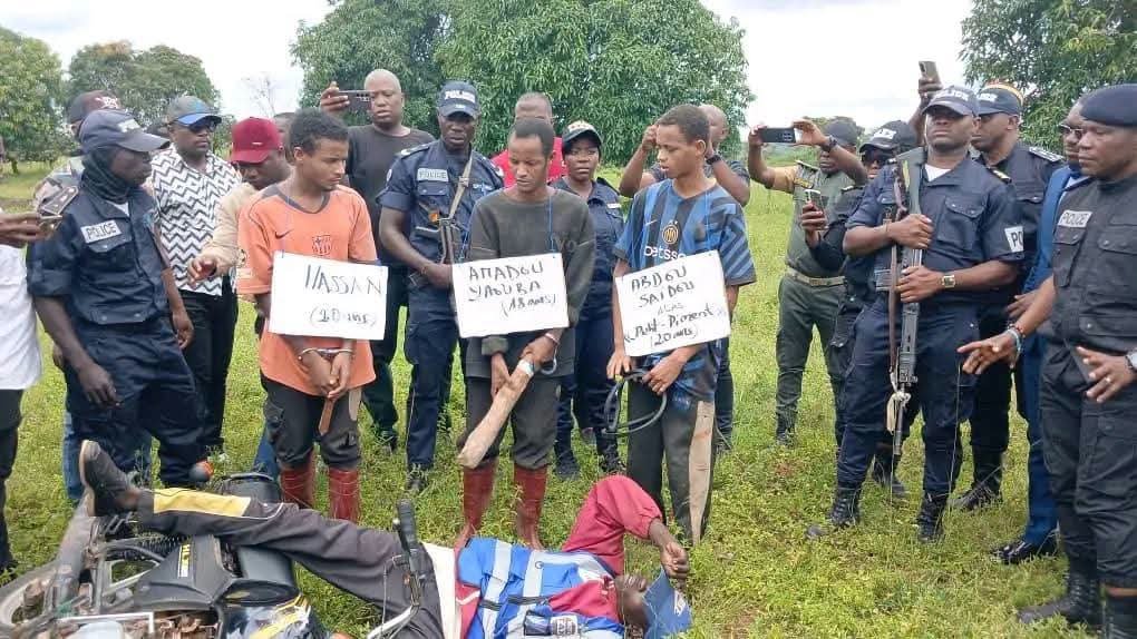 Garoua-Boulaï : six suspects interpellés après une série de crimes ayant fait 25 morts