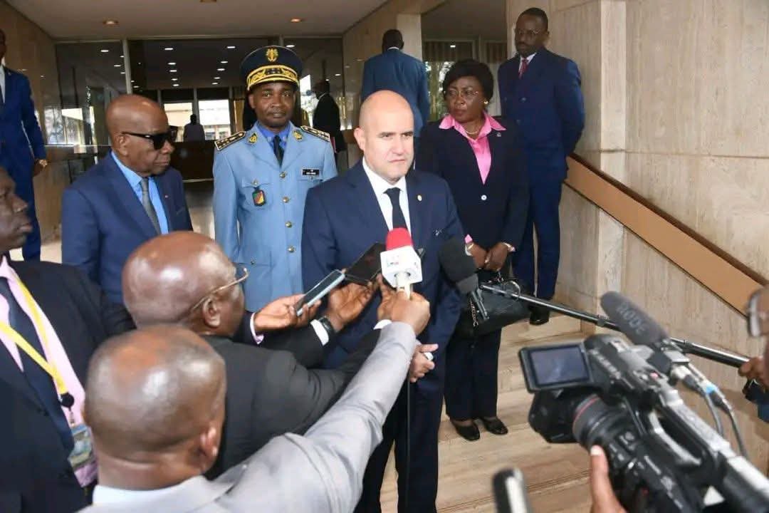 Coopération policière : le président d’INTERPOL au Cameroun