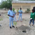 Green-Cameroon.Tree-Planting-Maroua2-2023