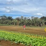 family-farm-in-the-brasilia-area
