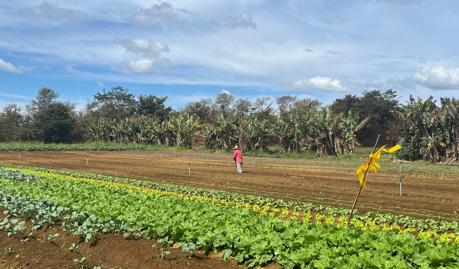 family-farm-in-the-brasilia-area