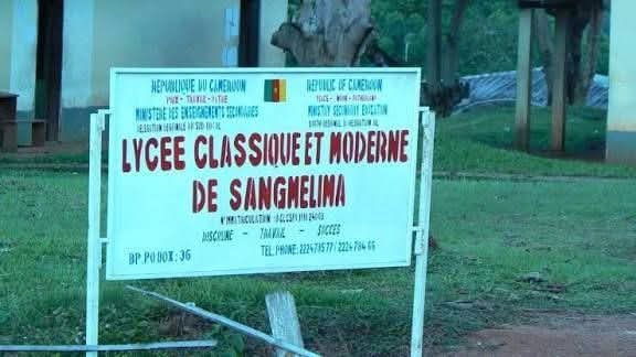 FB_IMG_1771493116607