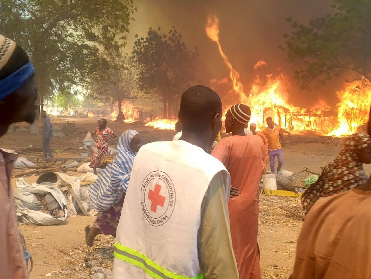 FB_IMG_1772722789789