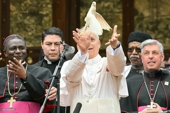 FB_IMG_1776404988152