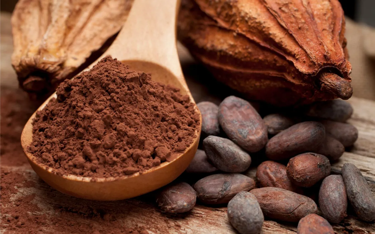 cacao.jpg